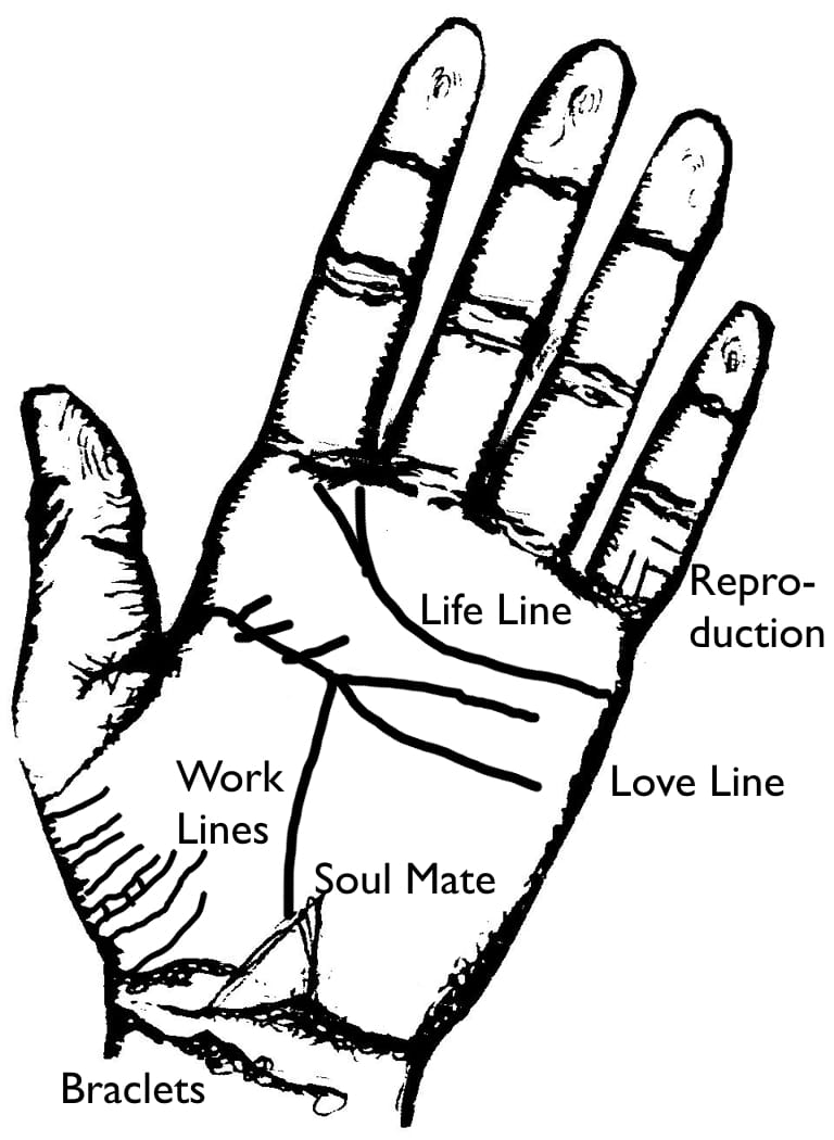 Myrna Lou Goldbaum | Palmistry, Past Lives, Soul Mates